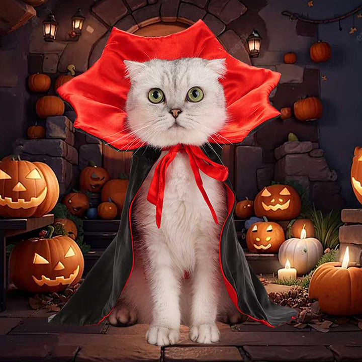 Spooky Vampire Pet Cape