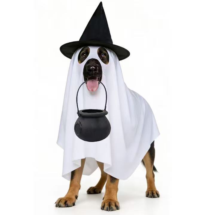 Halloween Ghost Witch Pet Costume